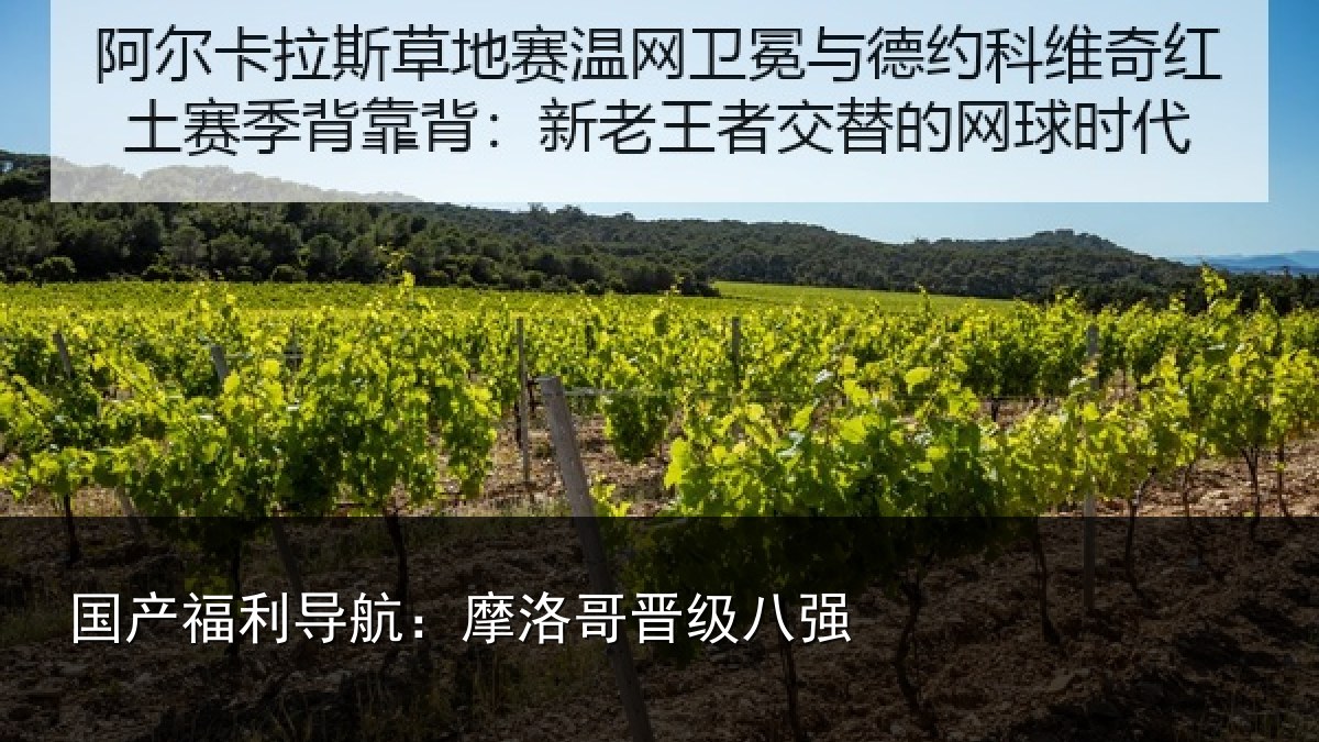 国产福利导航:摩洛哥晋级八强