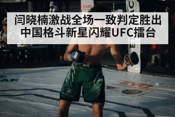 闫晓楠激战全场一致判定胜出 中国格斗新星闪耀UFC擂台