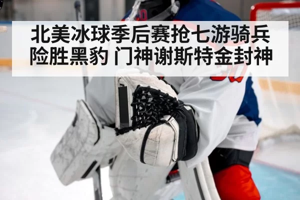 北美冰球季后赛抢七游骑兵险胜黑豹 门神谢斯特金封神