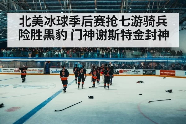 hockey arena crowd